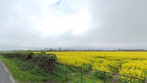 Planning application received for 10 new homes to be built in County Carlow 