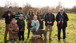 Know Your Hedgerows: Project celebrates the heritage of Kilkenny’s hedgerows 