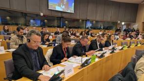 A victory for carers in the European Parliament &ndash; Kilkenny's Kathleen Funchion MEP