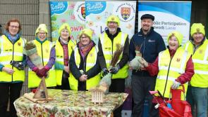Spring into nature with free Laois tree giveaway in Portlaoise 