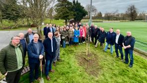 Kilkenny College past-pupils gather for special reunion 