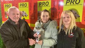 Derry Greyhounds: Titanic effort from Gift lands top sprint at Brandywell