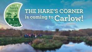 A hare's corner for every corner of Carlow is being rolled out this year in the County