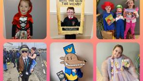 PICTURES: Laois kids get creative for World Book Day