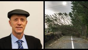 Leitrim councillors seek meeting with Minister on forestry taskforce