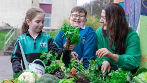 Tipperary primary schools to take part in 'Let's Grow' programme