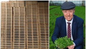 WATCH Michael Healy Rae in Laois to heap huge praise on 'massive' business