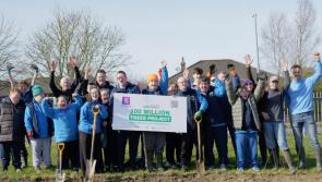 Kildare racecourse plants 5,000 trees with 100 Million Trees Project