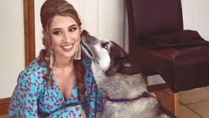 Leitrim woman continues the search for her missing Husky
