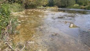 LATEST: IFI secures river pollution conviction against group in Tipperary