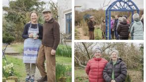 PICTURES: Laois &lsquo;Kitchen Garden Workshop&rsquo; a wonderful success