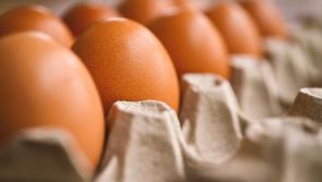Garda probe after Gortahork house pelted with eggs
