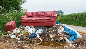 Longford Senator calls for fines to tackle fly-tipping