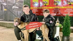 Derry Greyhounds: Cashout&rsquo;s win rewards his supporters Generous-ly