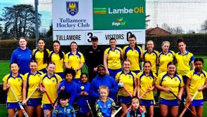 Tullamore Hockey Club repair storm damage