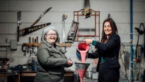Green Limerick: Relove Paint project expands