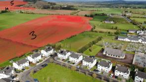 'Disappointment' over granting of permission for controversial Tipperary solar farm