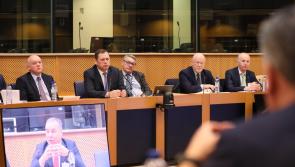 MEP from Offaly hosts European Parliament talks on future of Irish farming
