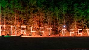 Laois Forest Fest 2025 to have new 'top-notch' camping 