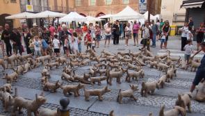 Community groups and schools invited to take part in Clonmel festival's 100 Dogs art project