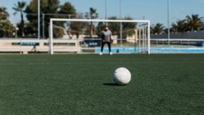 Ambitious  development including  full size floodlit all weather pitch planned by soccer club in Offaly