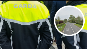 Man and woman hospitalised after horror Offaly crash as gardaí give update