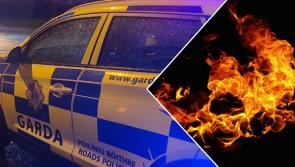 Kilkenny fire sparks 'criminal investigation' as 'significant damage' caused