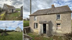 PICTURES: Kilkenny property suitable for grants on large site for just €80k