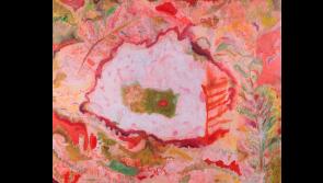 Arts centre in Tipperary features exhibition of painting and sound 