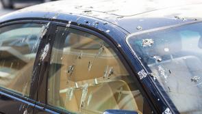 'Destroyed': Laois Councillor demands action against crows 'damaging cars' with  'destructive droppings'
