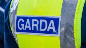 Registration plates stolen from vehicle parked in Limerick overnight