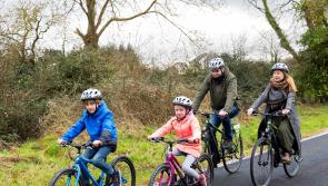 Limerick Council wins prestigious EU accolade for multimillion euro amenity