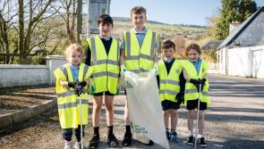 Biggest-ever TLC clean-up kicks off this Good Friday in Limerick
