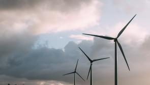 Plans for large wind farm close to Waterford beauty spot rejected amid local opposition