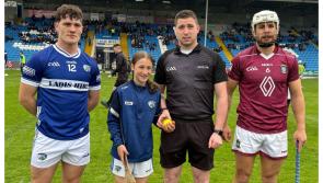 Who scored and who played as the Laois hurlers began the Joe McDonagh Cup with a win