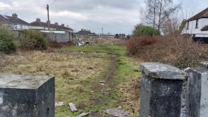 Idle Portlaoise field earmarked for 74 homes and apartments