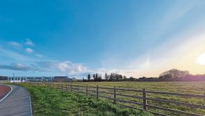 New facility for Limerick athletics club