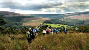 GUIDE: All you need to know about this year's Slieve Bloom Walking Festival