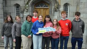 Young Offaly people attend Comhairle na nÓg’s National Showcase