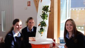 Green Limerick: Young climate activists make national awards final