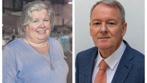 Former Laois Sinn F&eacute;in TD hands plum job to former Kildare Sinn F&eacute;in TD 