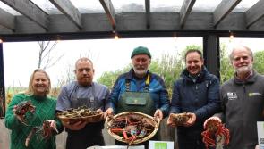 Ireland’s longest-running slow food festival returns to Clare this weekend