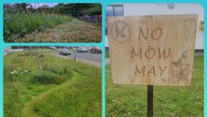 Laois town's reward for no mowing in May