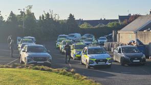 Gardai make 37 arrests in one day in Limerick during targeted 'day of action'