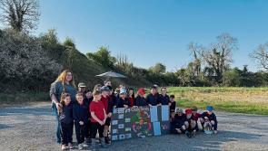 Offaly company celebrates 25 years in business with special project