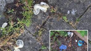 SHOCKING: 'Syringes' and 'used condoms' strewn across residential area of Kilkenny