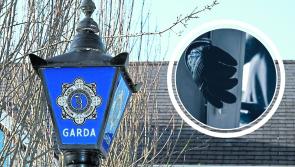Savvy thieves stole CCTV footage after ransacking office portacabin in Limerick