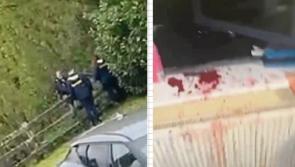 Limerick gardai search two graveyards as part of investigation into aggravated burglaries