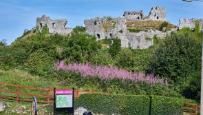 No bins to form part of the Rock of Dunamaise tourism upgrade