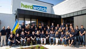 Roscrea based company continues to revolutionise farming with new livestock monitoring app